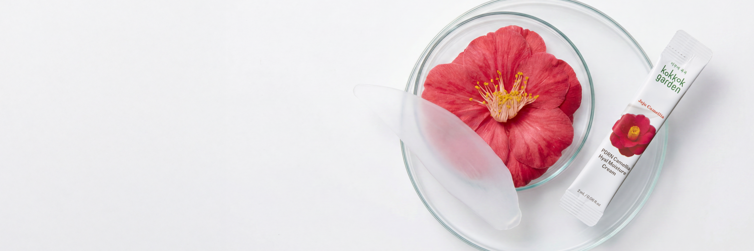 Camellia X PDRN 제주 카멜리아의 가장 신선한 보습력